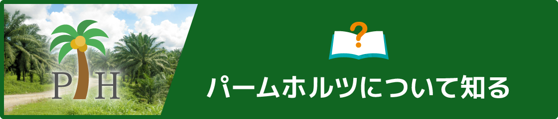 パームホルツについて